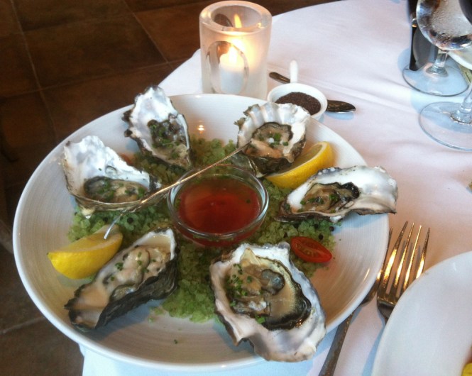 oysters