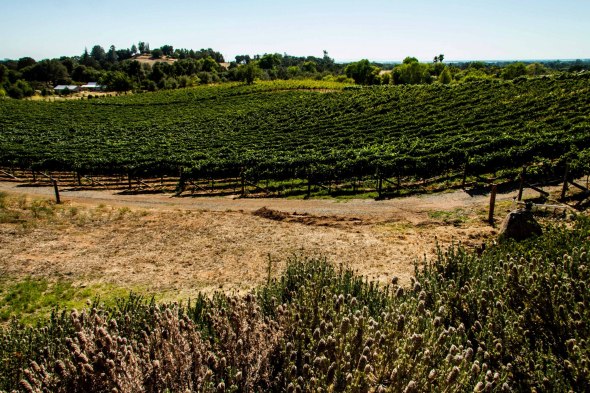 341116_455977627768017_284780370_o