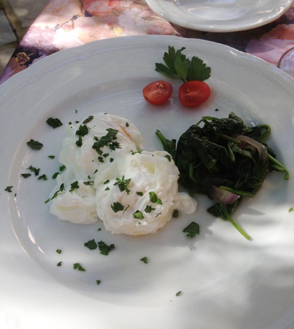 poached eggs bfast day1