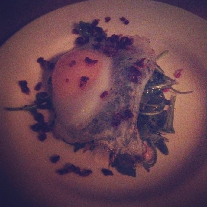 duck egg