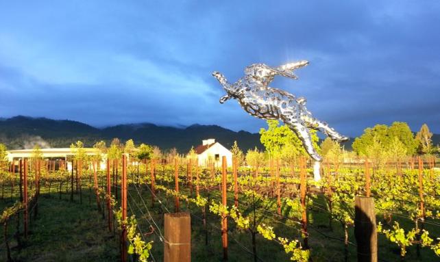 1012869_10153982772960434_1185504570_n