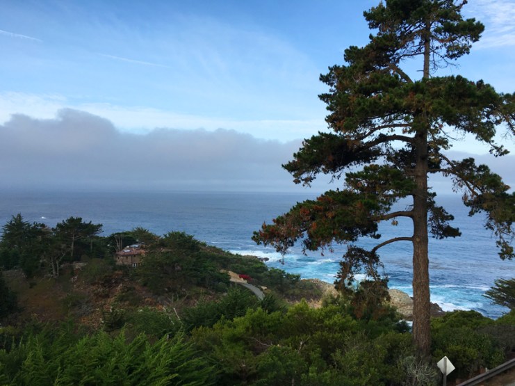 carmel highlands view