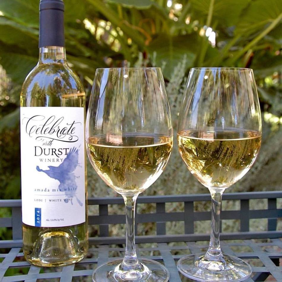 13669011_682219775259382_5824664704962489536_n