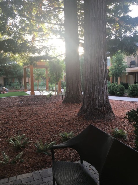 outside-view-marriott