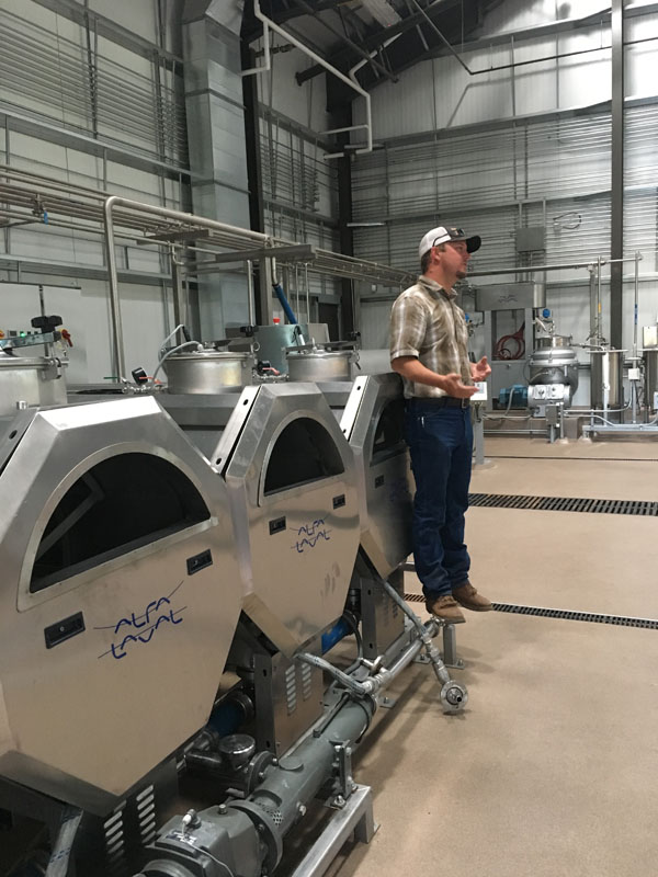 sekahillsoliveoilproduction